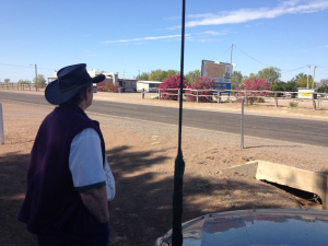 Bev at Walkabout Creek Hotel Bev