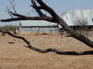 old shearing shed at Colwell Station