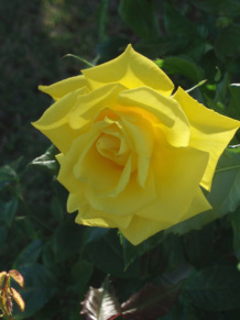 ??????????????????????