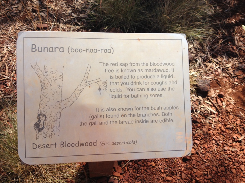 Bloodwood Tree