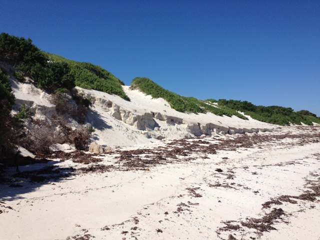 Fabulous dunes at Point Louise