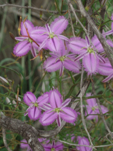 ??????????????????????