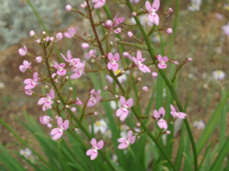 ???????????????????????????????