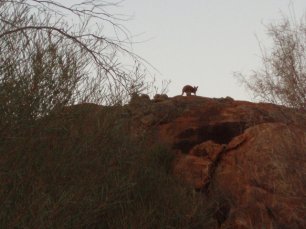 ???????????????????????????????