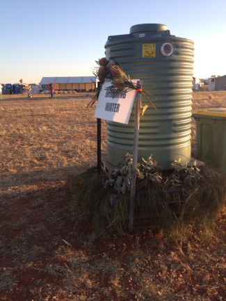 IMG_2112Blues in the Bush