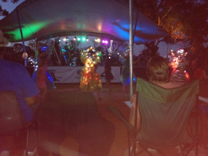 IMG_2115Blues in the Bush