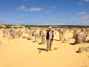 The Pinnacles Desert