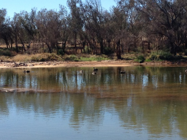 Galena Bridge Kalbarri