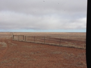 The Dingo Fence