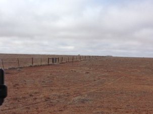 The Dingo Fence