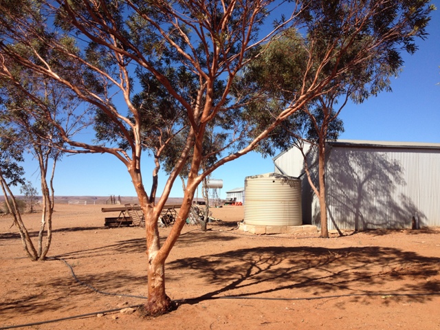 Nilpinna Station South Australia