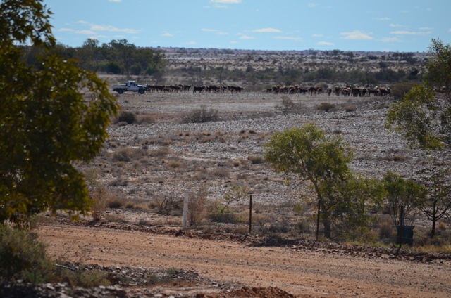 Nilpinna Station South Australia