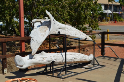 Pearl Luggers, Broome Western Australia