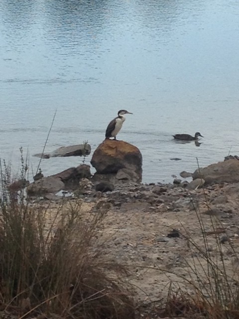 Stockton Lake Dec 2015