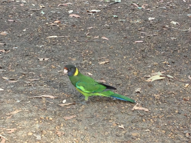 Lake Brockman Tourist Park