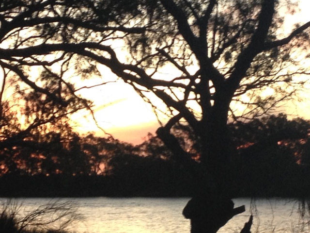 Abbotsford Bend, Murray River Victoria