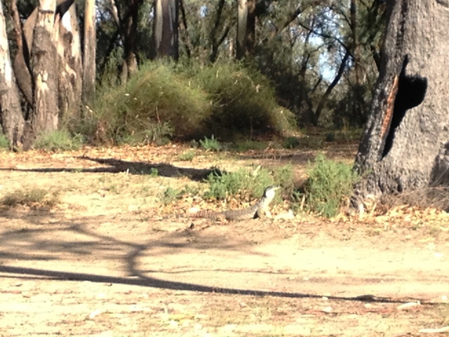 IMG_6193Abbotsford Bend