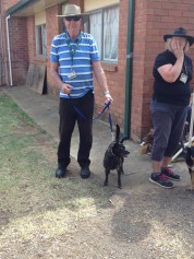 Solos Rally, Forbes New South Wales