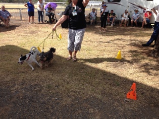 Solos Rally, Forbes New South Wales