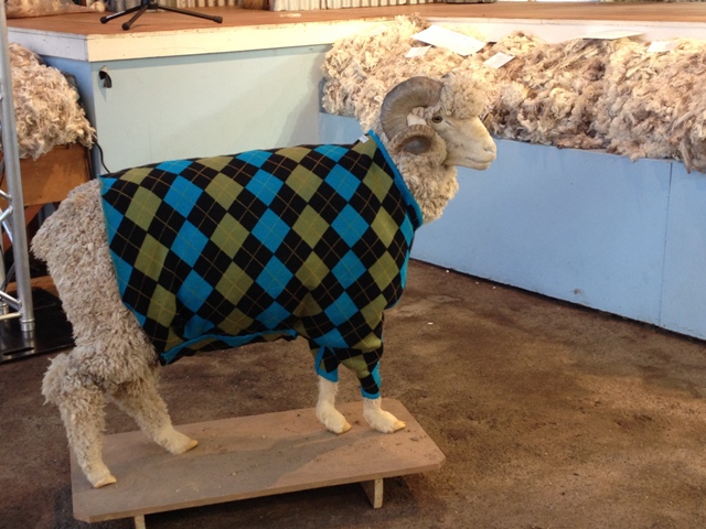 IMG_6595Campbell Town Show