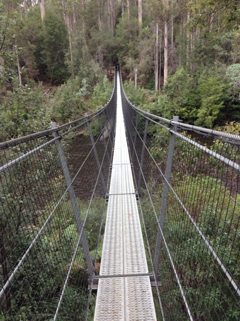 Tahune Air Walk, Tasmania