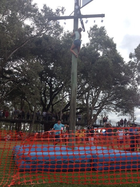Ingham Italian Festival, Queensland