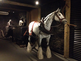 Collinsville Pit Pony