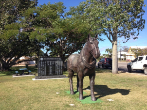 IMG_7998Collinsville