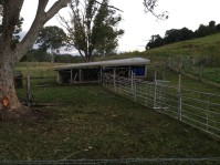 Image Flat 5 Sheep pen