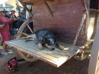 Longreach, Queensland