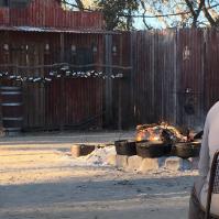 Kinnon & Co Thomson River Cruise