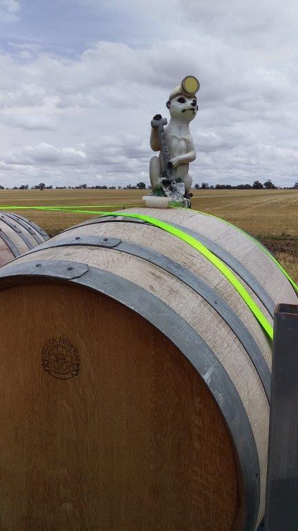 A meerkat in the Mallee, Victoria