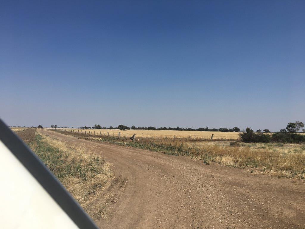 landscape around Sheep Hills, Victoria